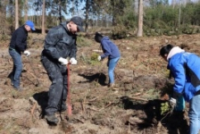 Член Совета Республики А.Кушнаренко присоединился к акции «Неделя леса»