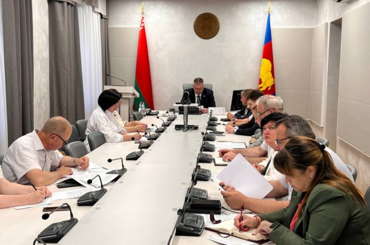 Член Совета Республики И.Брилевич провел заседание постоянной депутатской комиссии