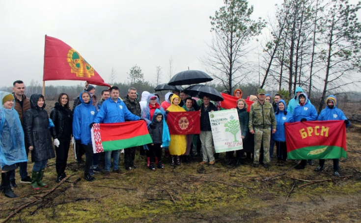 Член Совета Республики Т.Шатликова приняла участие в республиканской добровольной акции «Неделя леса»