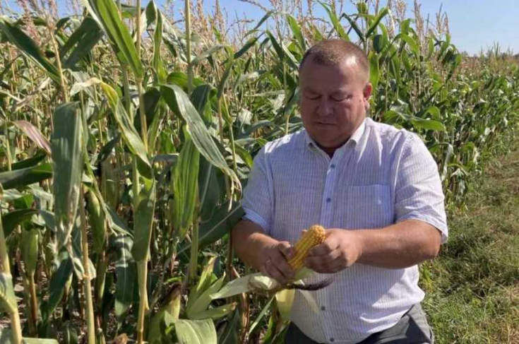 Ю.Васильцов проинспектировал
ход полевых работ на Рогачевщине
