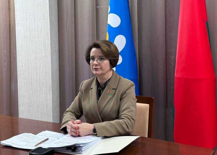 С участием председателя Постоянной комиссии Совета Республики по образованию, науке, культуре и социальному развитию Наталии Павлюченко в формате видеоконференции состоялось заседание Постоянной комиссии МПА СНГ по правовым вопросам