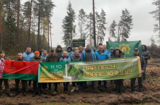 Член Совета Республики Н.Глинская приняла участие в республиканской экологической акции «Дай лесу новае жыццё»