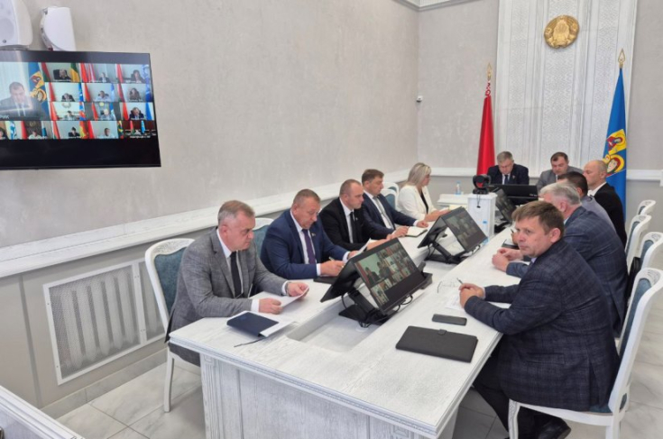 Член Совета Республики И.Брилевич принял участие в заседании Постоянной комиссии