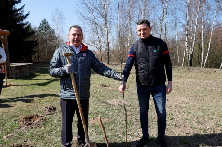 Член Совета Республики В.Ананич принял участие в посадке рябиновой аллеи на территории музея в Озерце