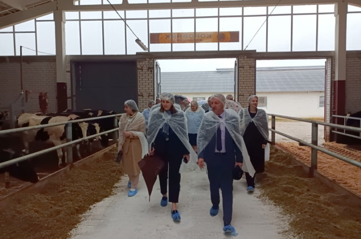 Член Совета Республики И.Толкачева приняла участие в работе ХI выездной сессии Стародорожского районного Совета депутатов