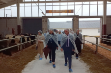 Член Совета Республики И.Толкачева приняла участие в работе ХI выездной сессии Стародорожского районного Совета депутатов